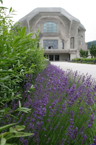 Photographer Charlotte Fischer-1