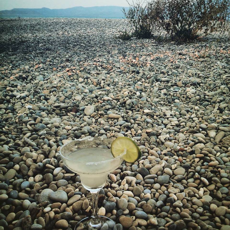 11800520_10153047169957671_5625885909965214103_n