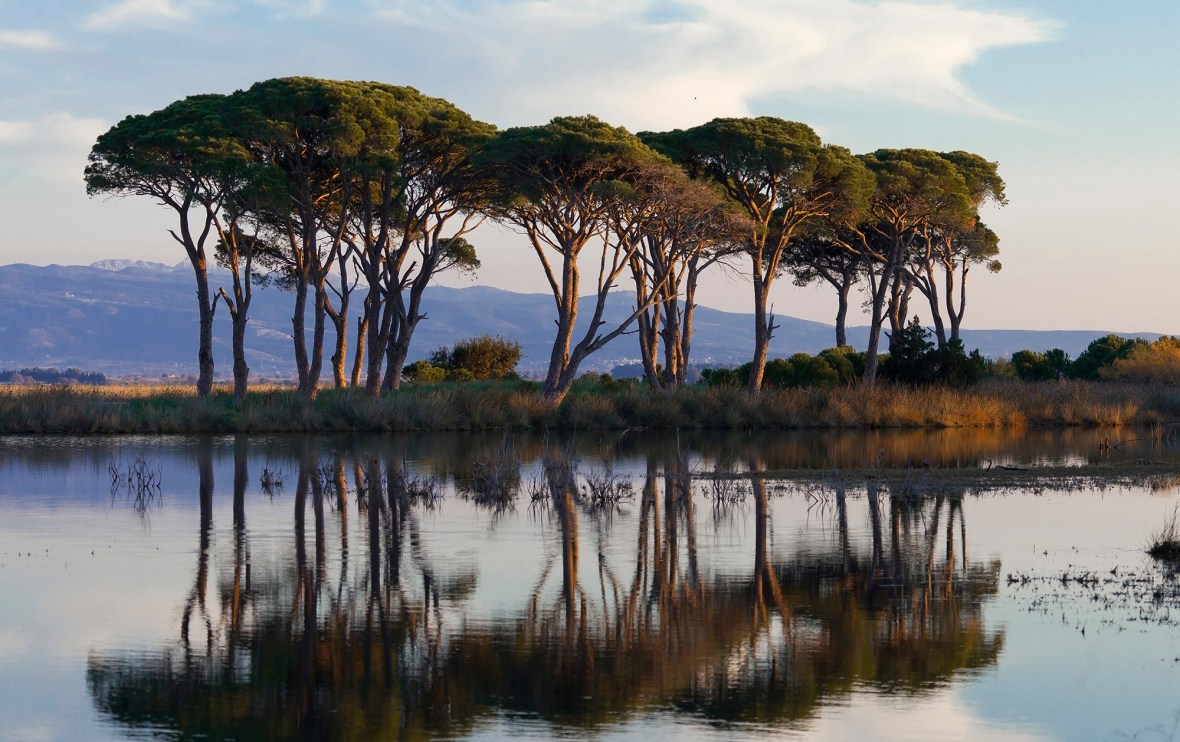 ATHINA SPHLIOTOPOULOU