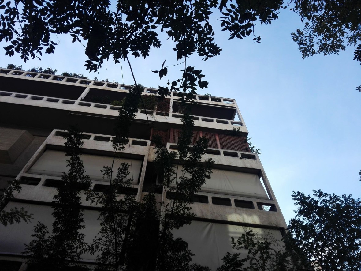 45803852_786661721680726_6018475124276068352_n