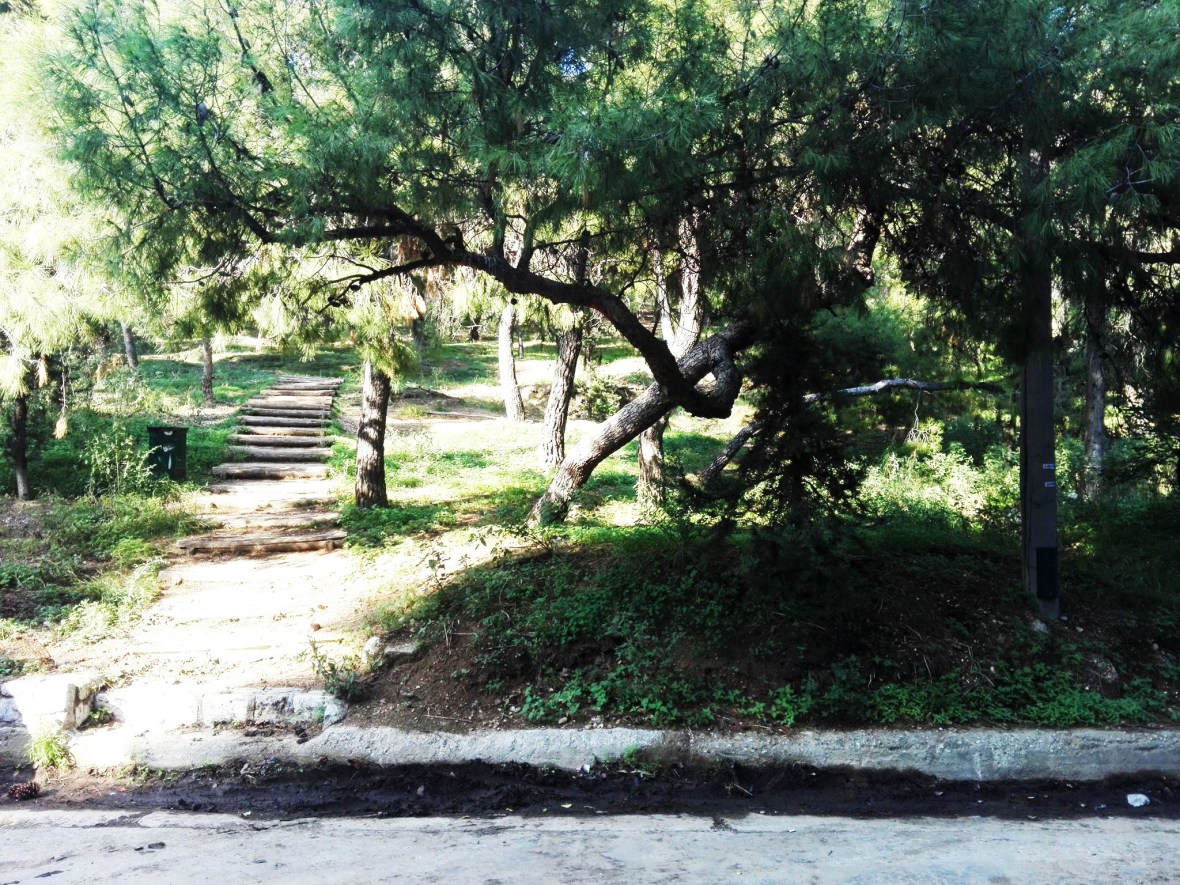 45863249_192865051625271_5633738782898388992_n